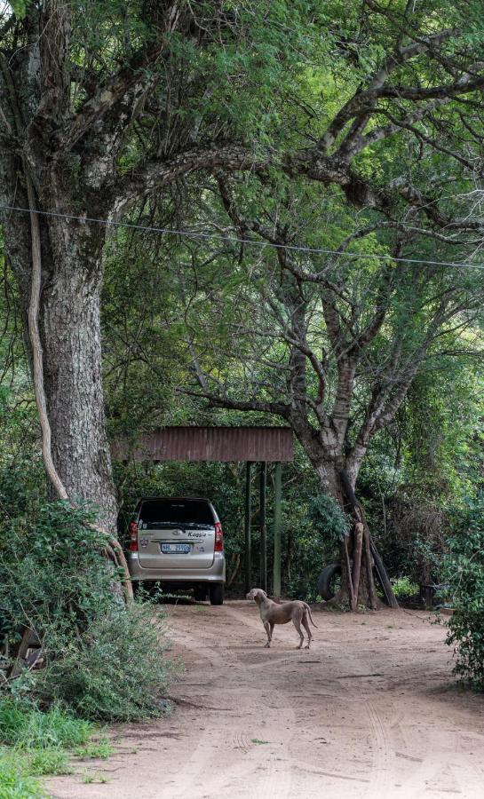 Lebombo Wattle Cottages Hluhluwe Exterior photo