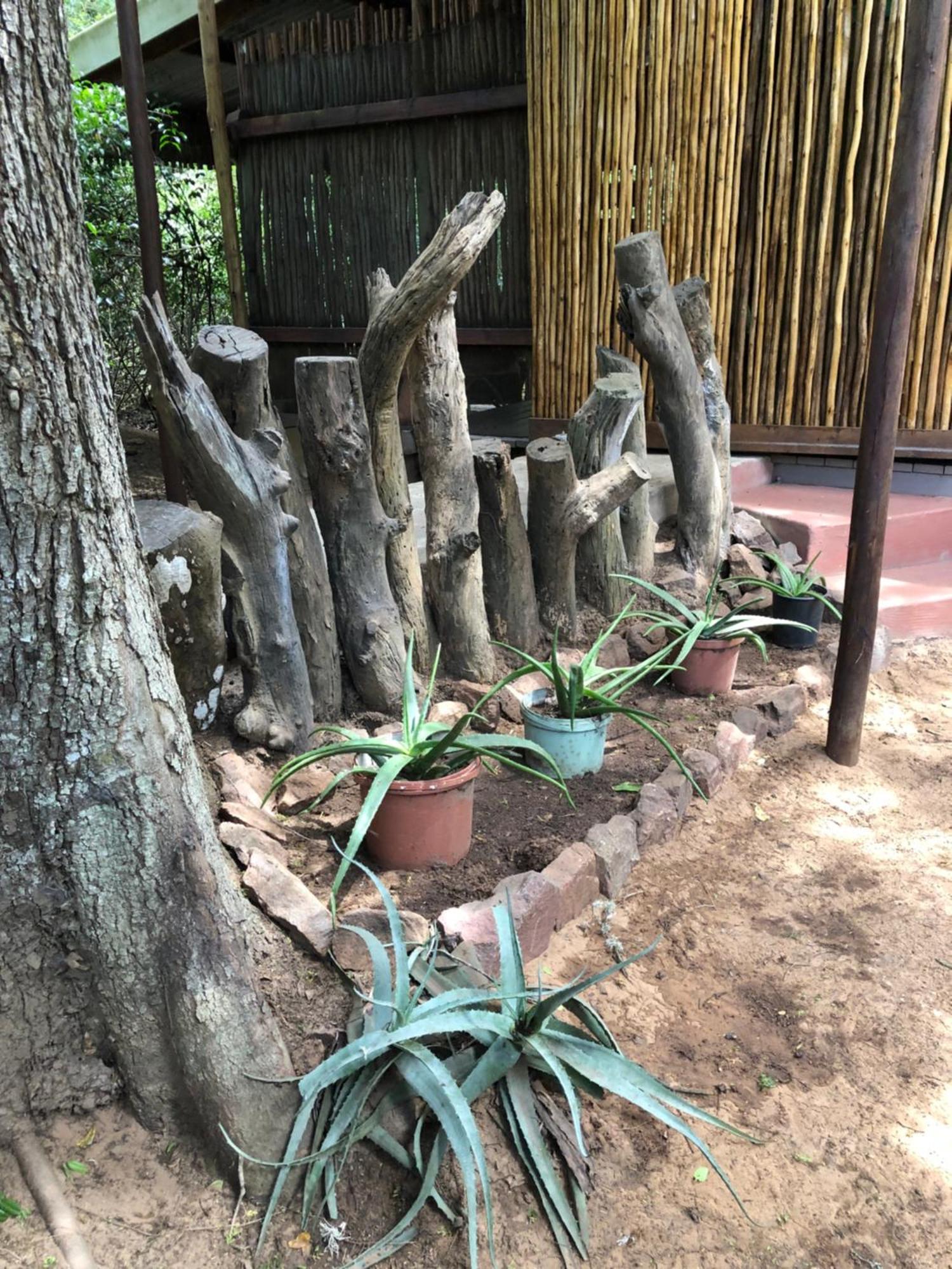 Lebombo Wattle Cottages Hluhluwe Exterior photo